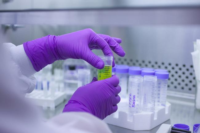 Researcher in a lab wearing purple gloves and holding a test tube