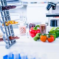 Image of a food in a laboratory with a microscope